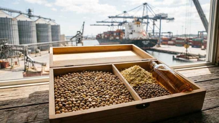 Grão in natura ou processado: qual gera mais valor na exportação? Wander Aguilera Almeida